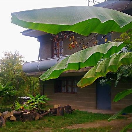 Farmer'S Guest House Tel Avi Exterior foto