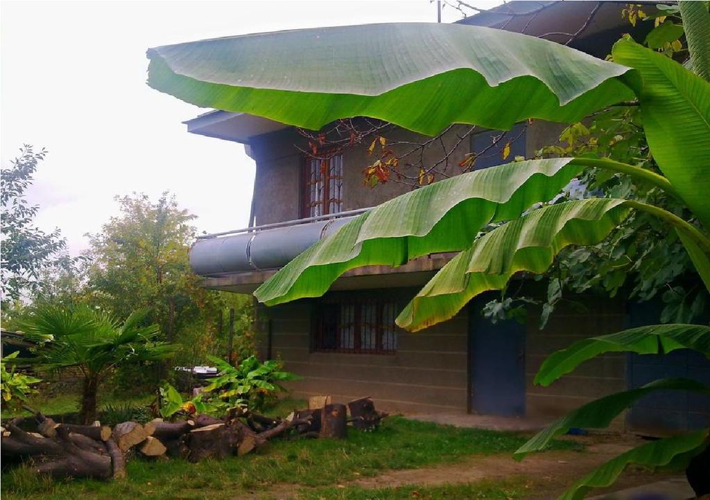Farmer'S Guest House Tel Avi Exterior foto